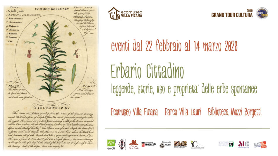 fb erbario cittadino generale Tavola disegno 1