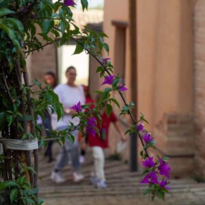 WhatsApp Image 2025 10 13 at 12.17.45