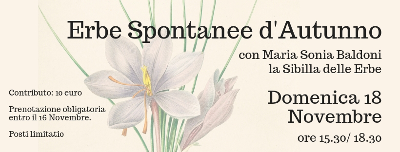 Erbe Spontanee novembre fb