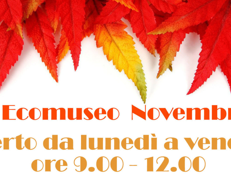 orario novembre2