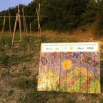 foto evento ortoinsieme