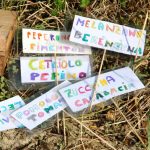 foto evento ortoinsieme