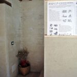 evento post-that show