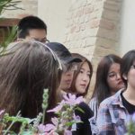 scuola di italiano17